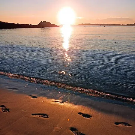 Nuestra Senora Del Camino *